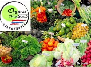 阿披拉迪 推動(dòng)有機(jī)農(nóng)產(chǎn)品走出國(guó)門(mén)，讓泰國(guó)土特產(chǎn)香飄世界