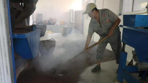 子承父業(yè)守匠心，誠(chéng)信經(jīng)營(yíng)耀非遺——池州老字號(hào)農(nóng)產(chǎn)品的傳承與新生